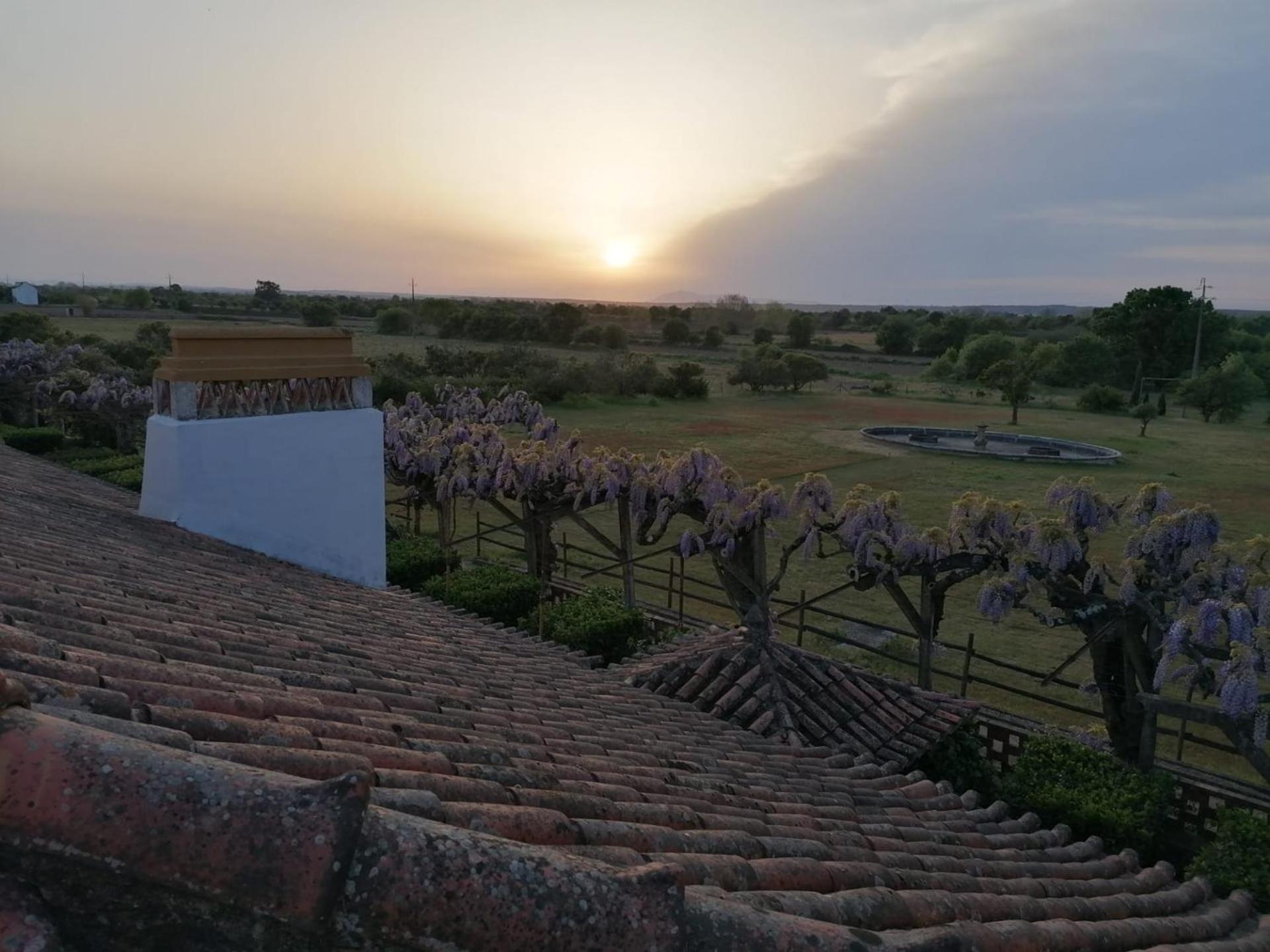 Vila Quinta Do Casalinho - Benfica Do Ribatejo Exteriér fotografie