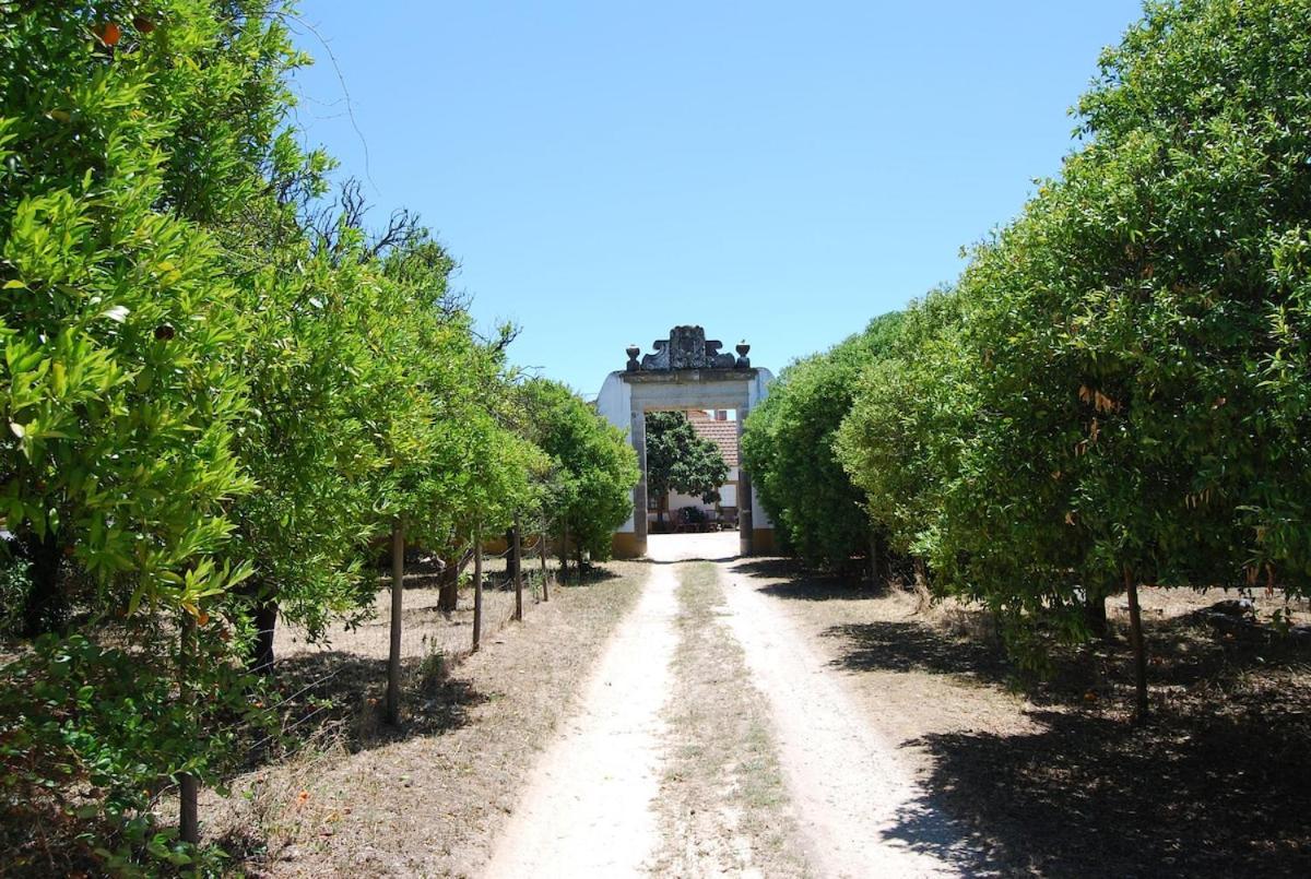 Vila Quinta Do Casalinho - Benfica Do Ribatejo Exteriér fotografie