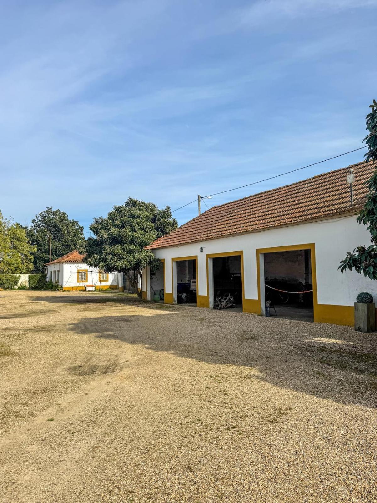 Vila Quinta Do Casalinho - Benfica Do Ribatejo Exteriér fotografie